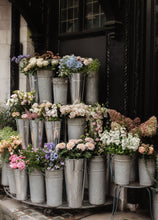 Load image into Gallery viewer, Zinc et Fleurs