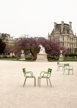 Load image into Gallery viewer, Image of a peaceful moment in Tuileries Gardens in Paris with purple Judas tree in bloom in the background