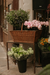 Fleurs de Saint-Germain