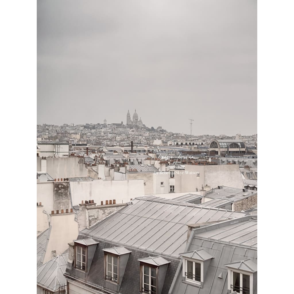 Paris rooftops, grey skies, view over rooftops towards Sacré-Couer church, fine art print