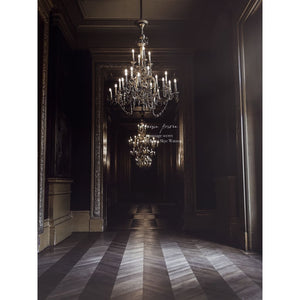 chandeliers in palace interior, French interior, Paris, brown shades in background, herringbone floors, soft light, fine art print