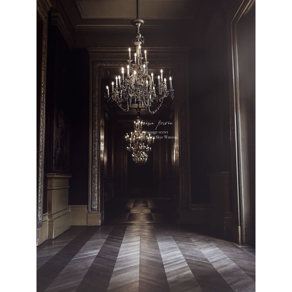 chandeliers in palace interior, French interior, Paris, brown shades in background, herringbone floors, soft light, fine art print